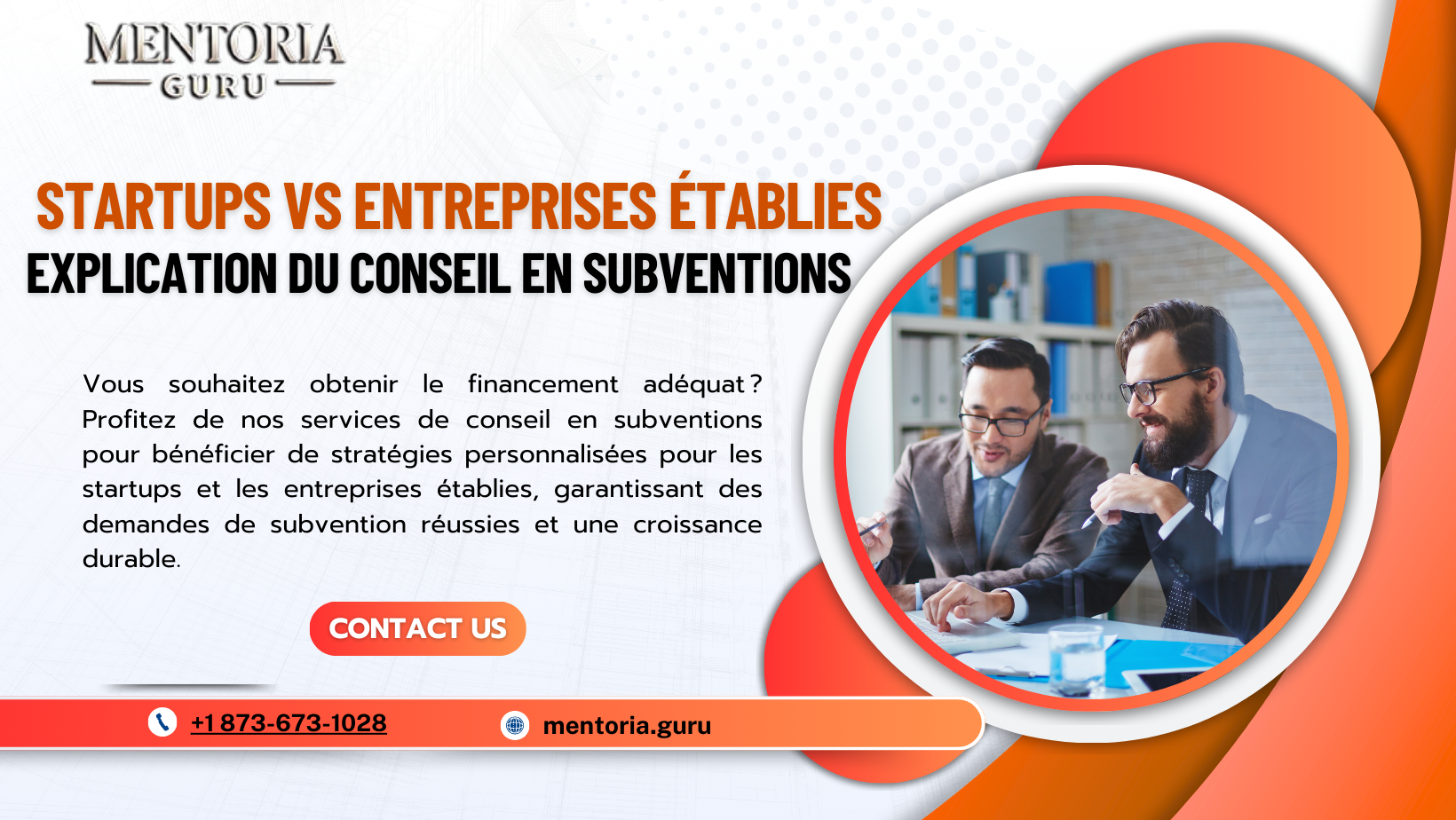 Conseil en subventions pour startups vs entreprises établies : quelles différences ?