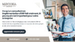 consultants ERP