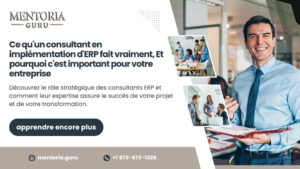 consultants ERP