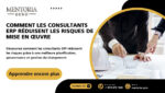 les consultants ERP
