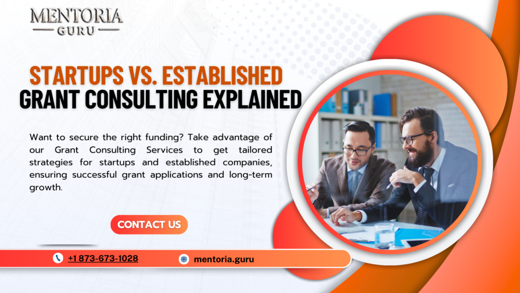Grant Consulting for Startups vs. Established Companies: What’s Different?