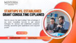 Grant Consulting for Startups: Winning Guide