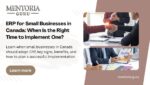 ERP consulting services for small businesses in Canada