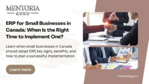 ERP consulting services for small businesses in Canada