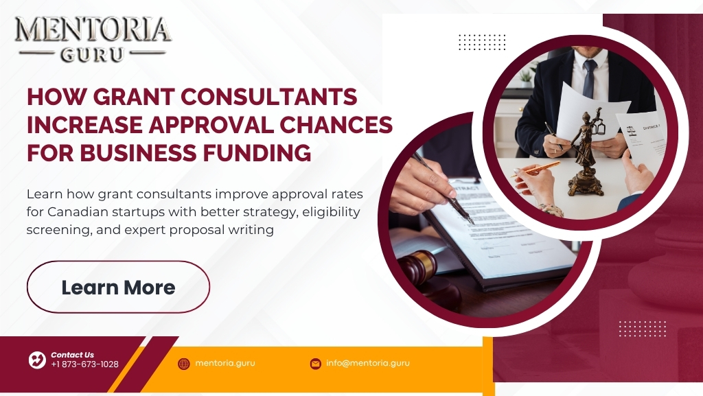 How Grant Consultants Increase Approval Chances for Business Funding