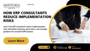 ERP Consultants