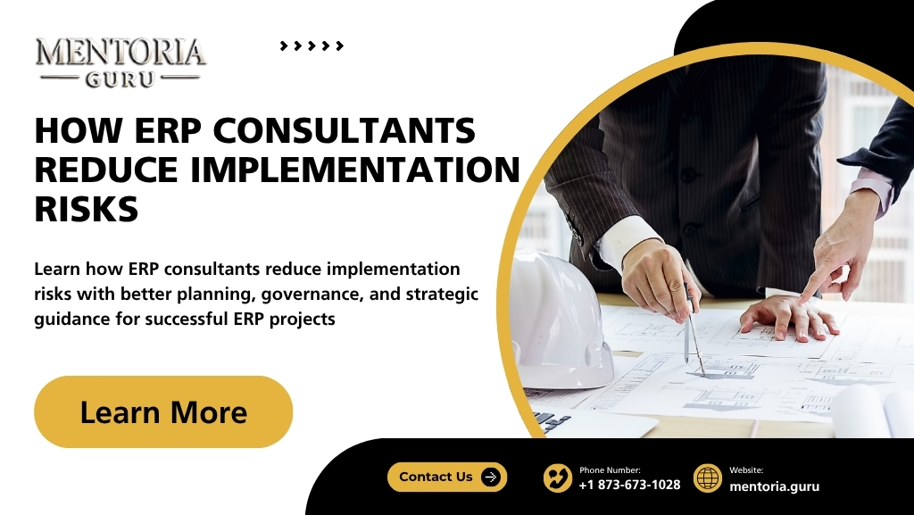 How ERP Consultants Reduce Implementation Risks