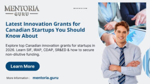 government innovation grants