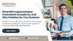 ERP consultants