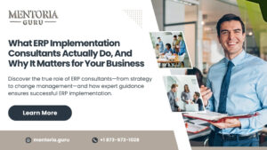 ERP consultants